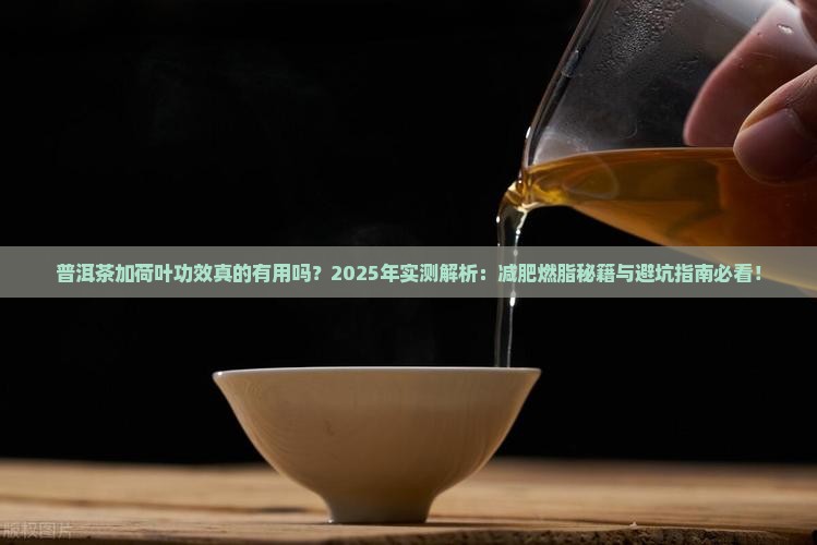 普洱茶加荷叶功效