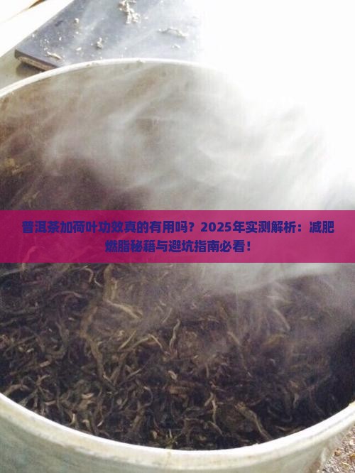 普洱茶加荷叶功效