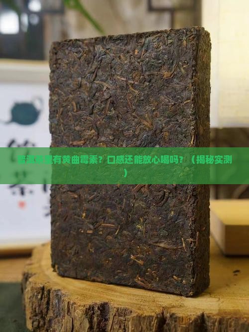 普洱茶黄曲霉素口感