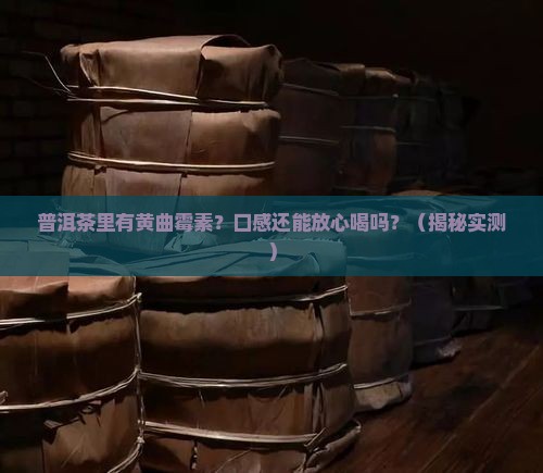 普洱茶黄曲霉素口感