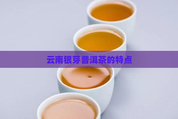 云南银芽普洱茶的特点