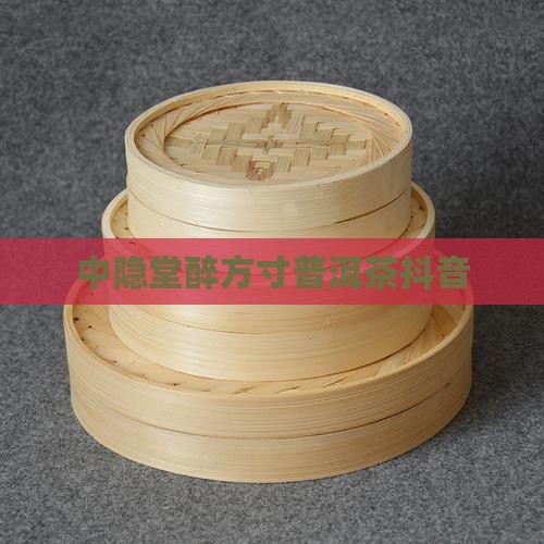 中隐堂醉方寸普洱茶抖音