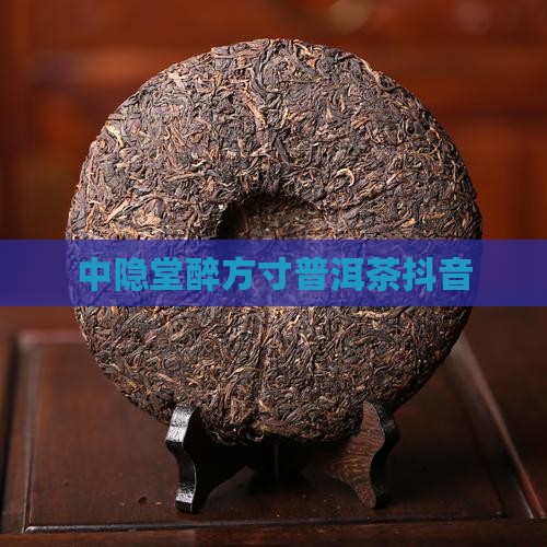 中隐堂醉方寸普洱茶抖音