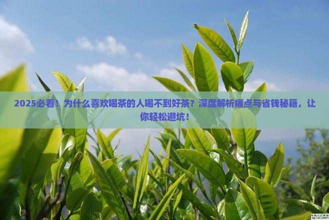让喜欢喝茶的人喝到好茶
