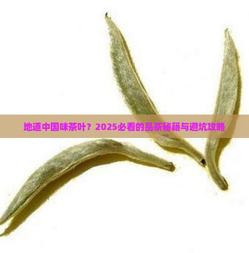 地道中国味茶叶