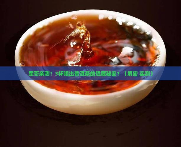 乾瀚堂军哥普洱茶密韵枣香茶
