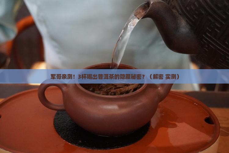 乾瀚堂军哥普洱茶密韵枣香茶