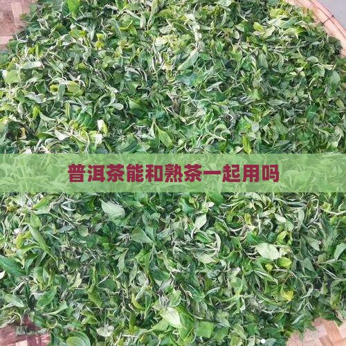 普洱茶能和熟茶一起用吗