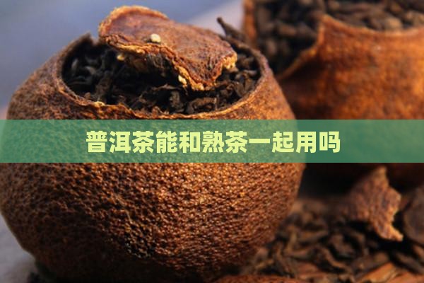 普洱茶能和熟茶一起用吗