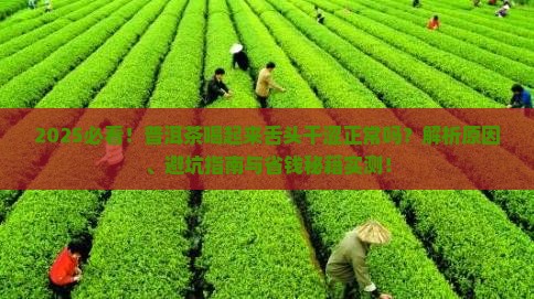 普洱茶喝起来舌头干涩正常吗