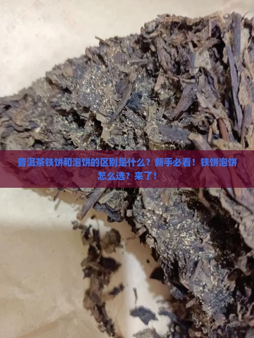 普洱茶铁饼和泡饼的区别是什么