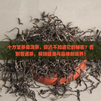 十方堂茶普洱茶