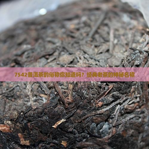 7542普洱茶的俗称