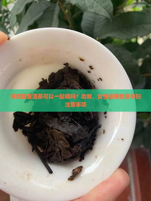 黄芪跟普洱茶可以一起喝吗