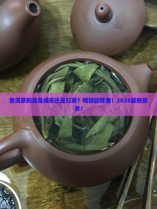 普洱茶属于绿茶还是红茶一类