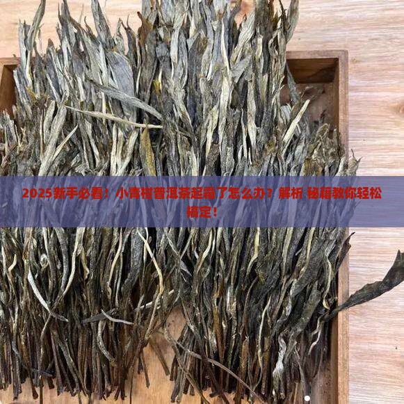 小青柑普洱茶起霜