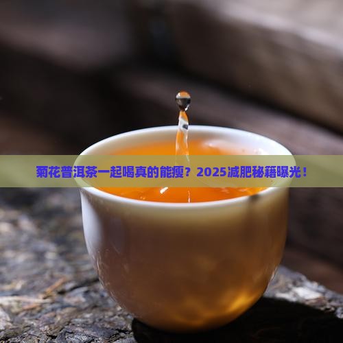 菊花和普洱茶一起喝减肥