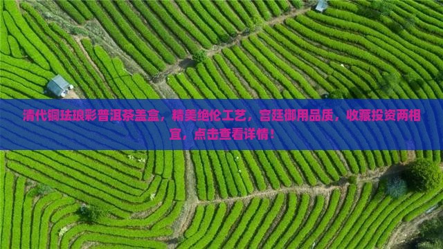 清代铜珐琅彩普洱茶盖盒