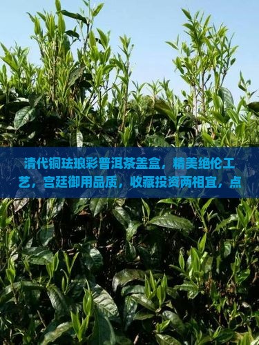 清代铜珐琅彩普洱茶盖盒