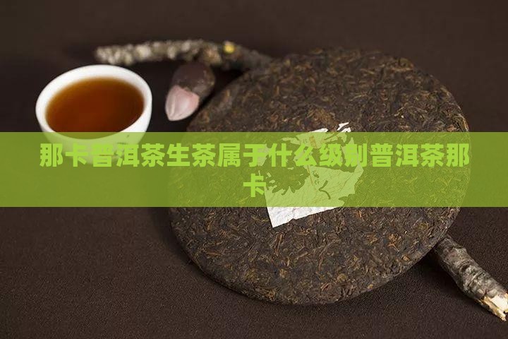 那卡普洱茶生茶属于什么级别