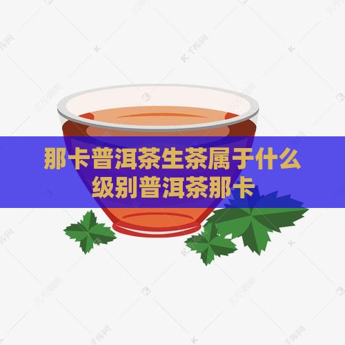 那卡普洱茶生茶属于什么级别