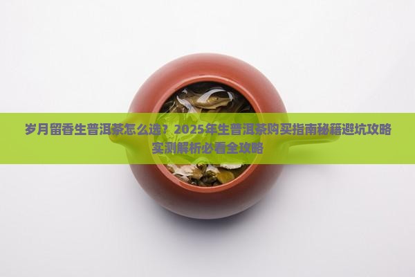 岁月留香生普洱茶