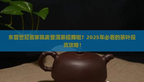 东营世纪茗家陈皮普洱茶招商啦