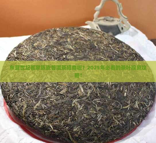 东营世纪茗家陈皮普洱茶招商啦