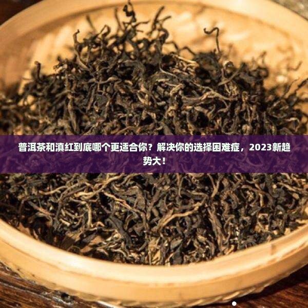 普洱茶滇红区别