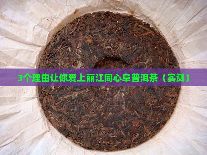 丽江同心阜普洱茶