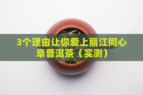 丽江同心阜普洱茶