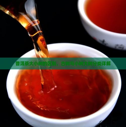 普洱茶大小树的区别