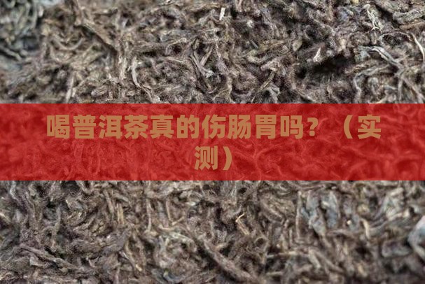喝普洱茶伤肠胃嘛