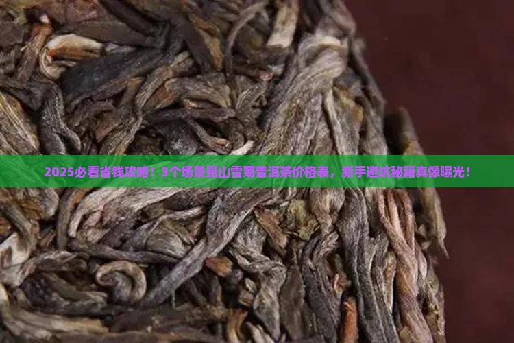 昆山雪菊普洱茶价格表