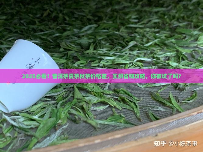 普洱茶夏茶和秋茶的价格差多少