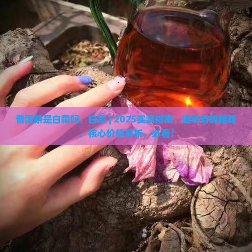 普洱茶是白霜吗