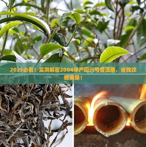 2004年产同兴号普洱茶