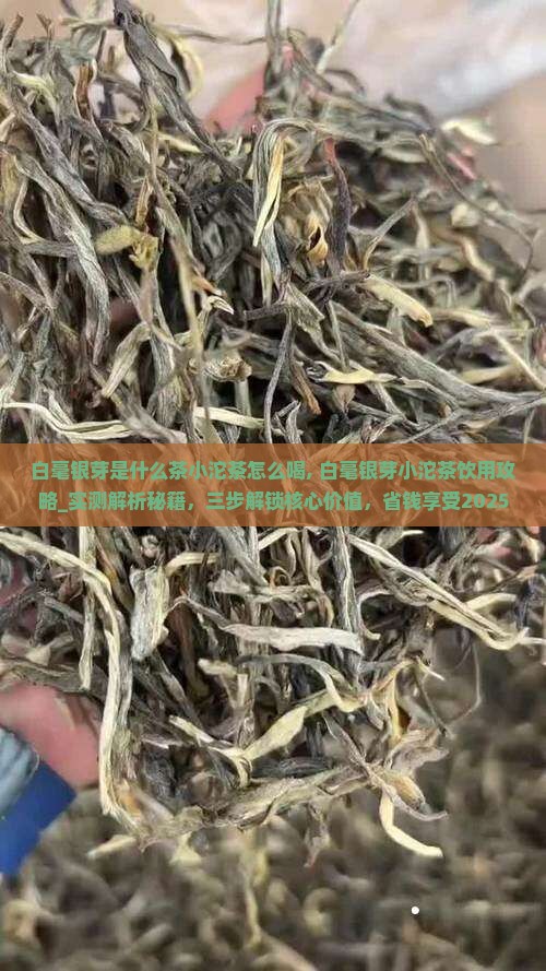 白毫银芽是什么茶小沱茶怎么喝
