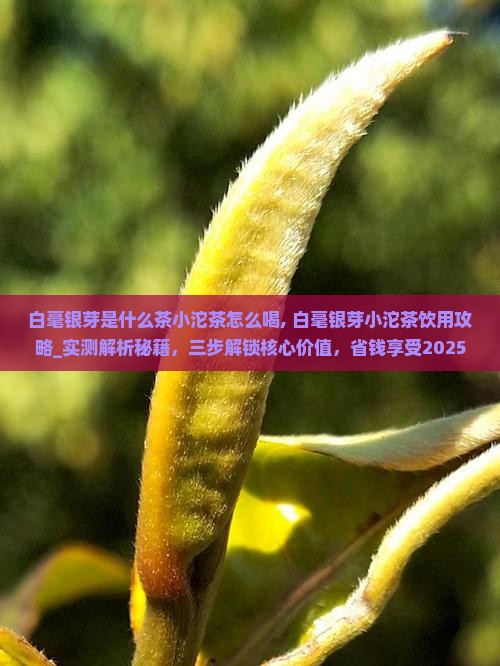 白毫银芽是什么茶小沱茶怎么喝