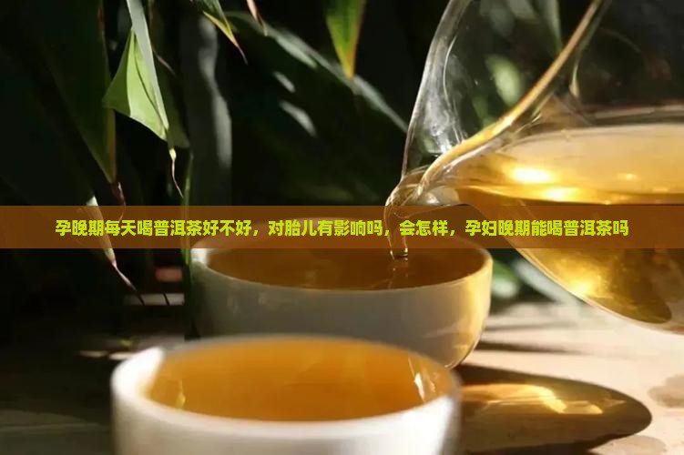孕晚期每天喝普洱茶好不好
