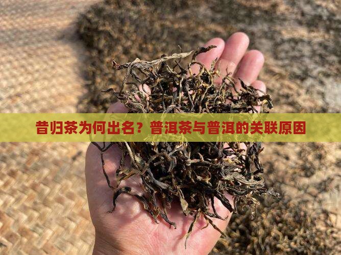 昔归茶出名原因