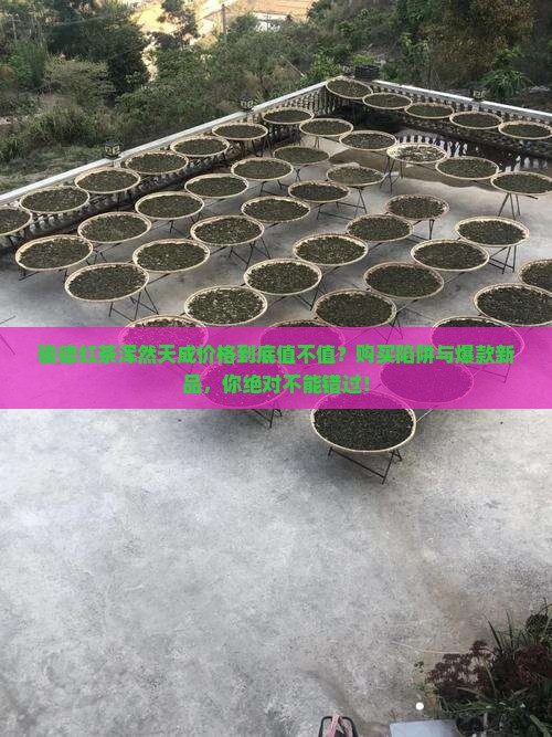 骏德红茶浑然天成价格