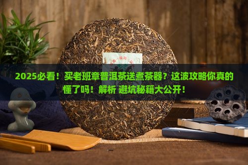买老班章普洱茶送煮茶器