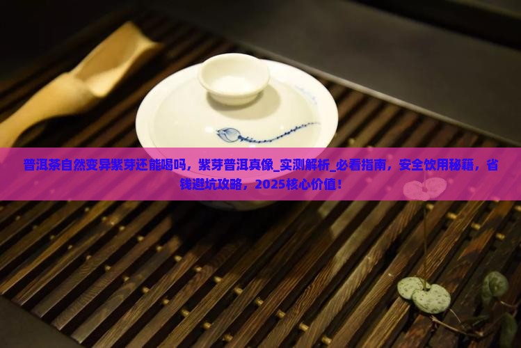 普洱茶自然变异紫芽还能喝吗