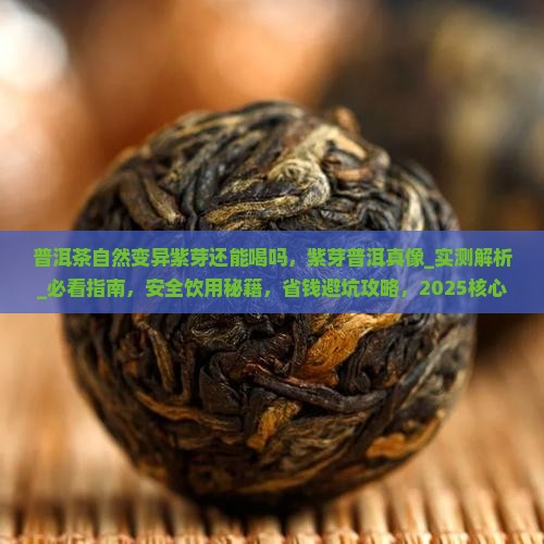 普洱茶自然变异紫芽还能喝吗