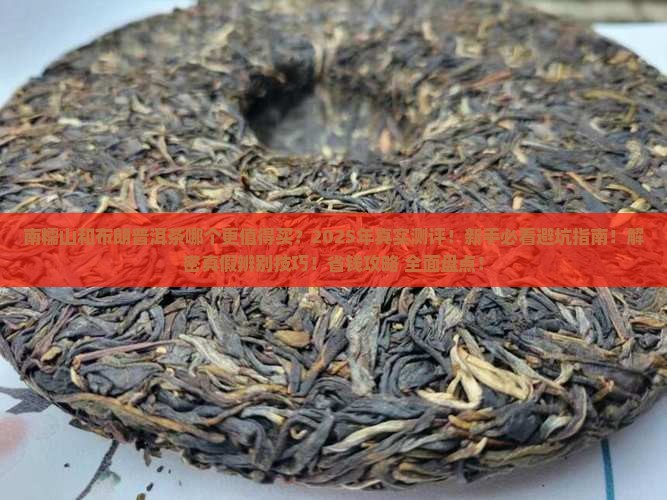 南糯山和布朗普洱茶