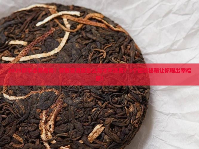 碎的散普洱茶怎么泡