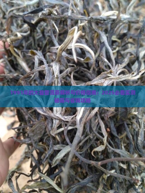 1991年的大益普洱茶
