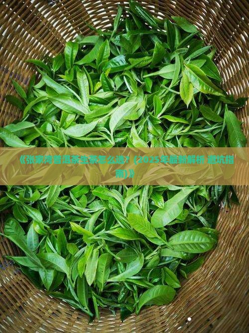 张家湾普洱茶生茶
