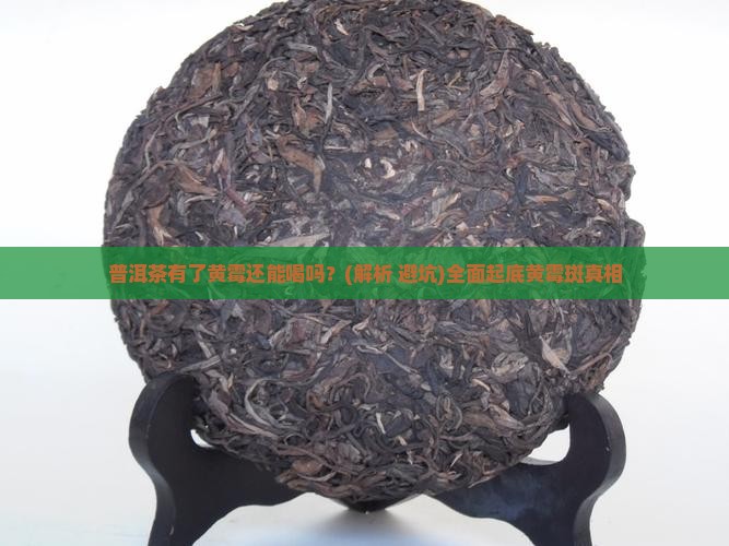 普洱茶有了黄霉